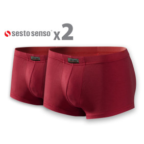 Mini Bokserki męskie BM06 micromodal 2PAK Bordowy