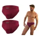 Sesto Senso 2-PAK Slipy męskie SM03 sportowy styl micromodal majtki płaskie szwy Bordowe